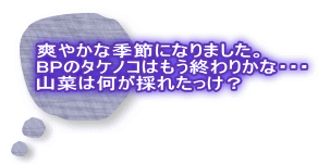 爽やかな季節になりました。 BPのタケノコはもう終わりかな・・・ 山菜は何が採れたっけ？