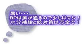 暑い・・・ BPは風が通るので少しはマシ! 水分補給と蚊対策は万全で!
